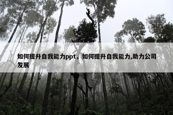 如何提升自我能力ppt，如何提升自我能力,助力公司发展