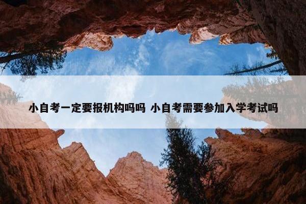 小自考一定要报机构吗吗 小自考需要参加入学考试吗