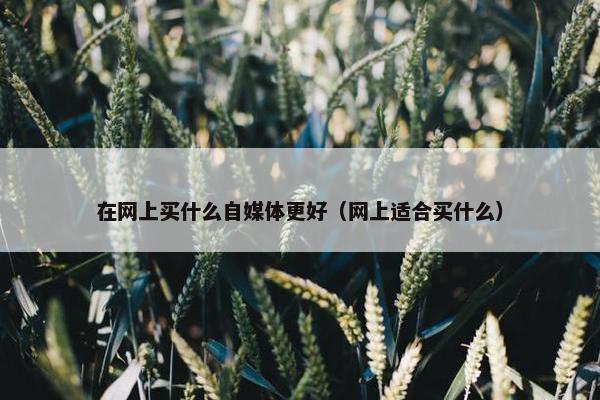 在网上买什么自媒体更好（网上适合买什么）