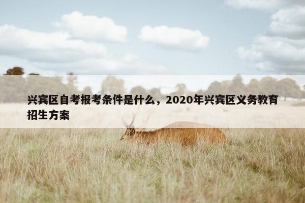 兴宾区自考报考条件是什么，2020年兴宾区义务教育招生方案