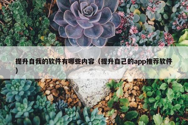 提升自我的软件有哪些内容（提升自己的app推荐软件）