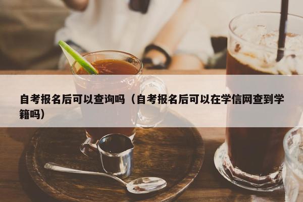 自考报名后可以查询吗（自考报名后可以在学信网查到学籍吗）