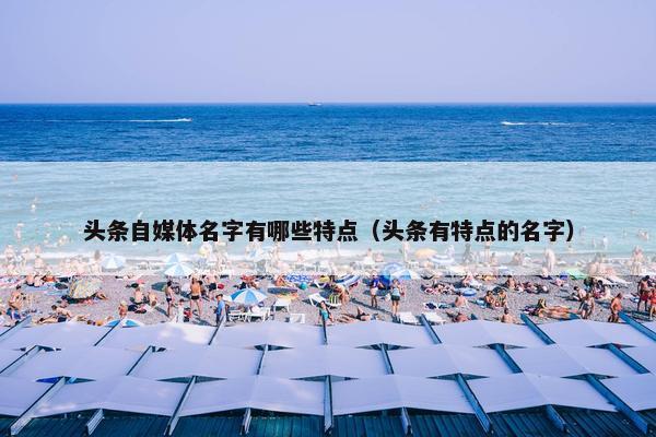 头条自媒体名字有哪些特点（头条有特点的名字）