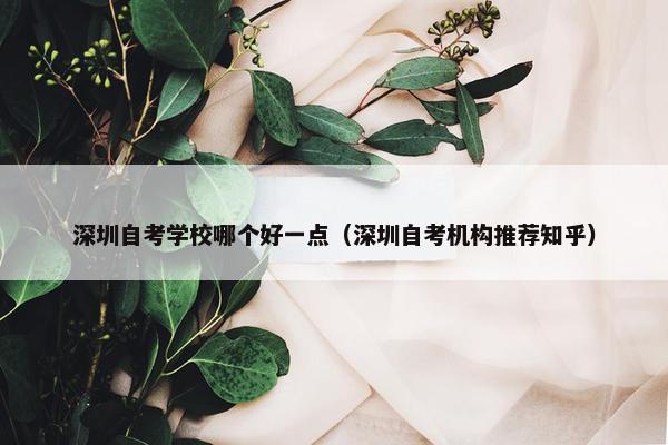 深圳自考学校哪个好一点（深圳自考机构推荐知乎）