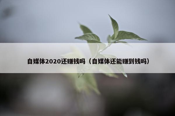 自媒体2020还赚钱吗（自媒体还能赚到钱吗）