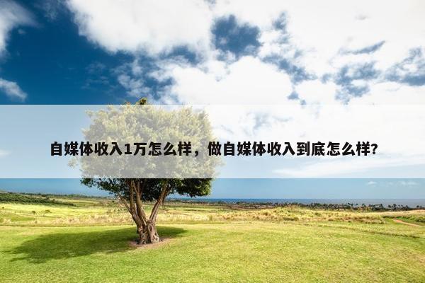 自媒体收入1万怎么样，做自媒体收入到底怎么样?