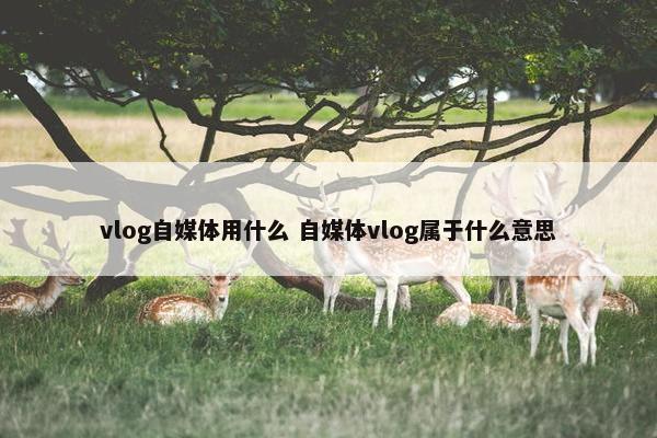 vlog自媒体用什么 自媒体vlog属于什么意思