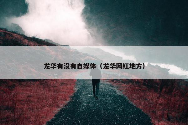 龙华有没有自媒体（龙华网红地方）