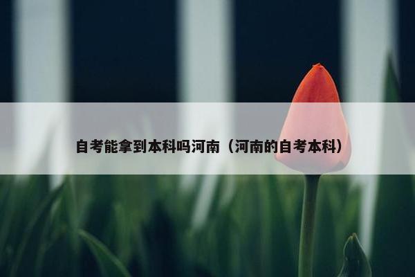 自考能拿到本科吗河南（河南的自考本科）