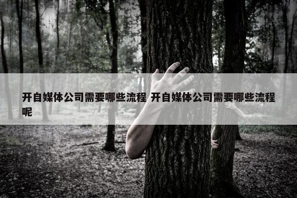 开自媒体公司需要哪些流程 开自媒体公司需要哪些流程呢