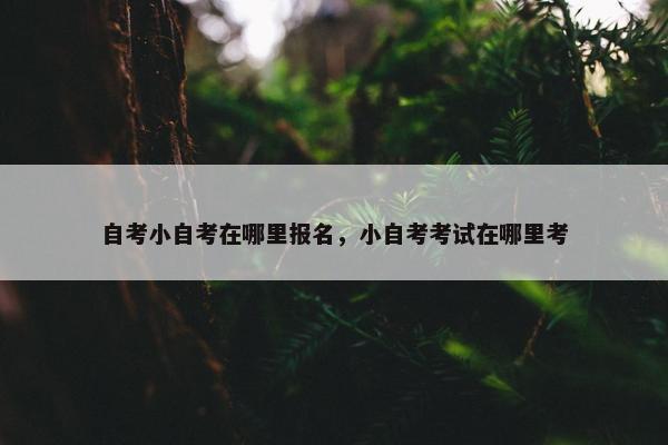 自考小自考在哪里报名，小自考考试在哪里考