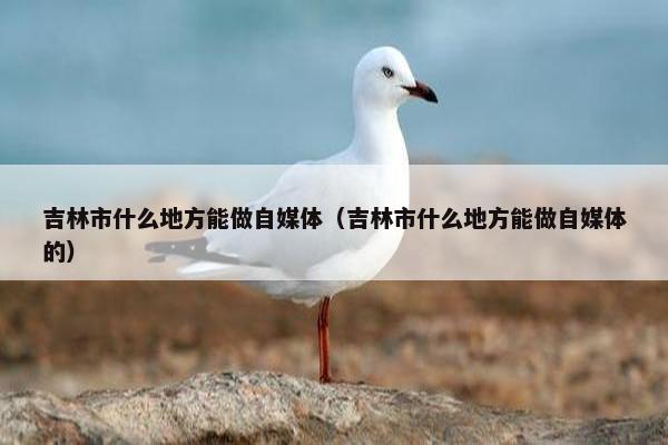 吉林市什么地方能做自媒体（吉林市什么地方能做自媒体的）