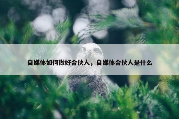 自媒体如何做好合伙人，自媒体合伙人是什么