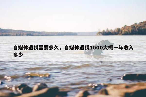 自媒体退税需要多久，自媒体退税1000大概一年收入多少