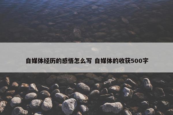 自媒体经历的感悟怎么写 自媒体的收获500字