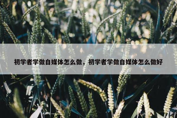 初学者学做自媒体怎么做，初学者学做自媒体怎么做好