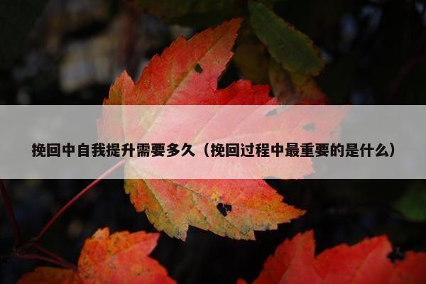 挽回中自我提升需要多久（挽回过程中最重要的是什么）