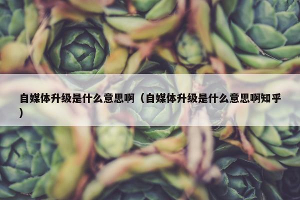 自媒体升级是什么意思啊（自媒体升级是什么意思啊知乎）