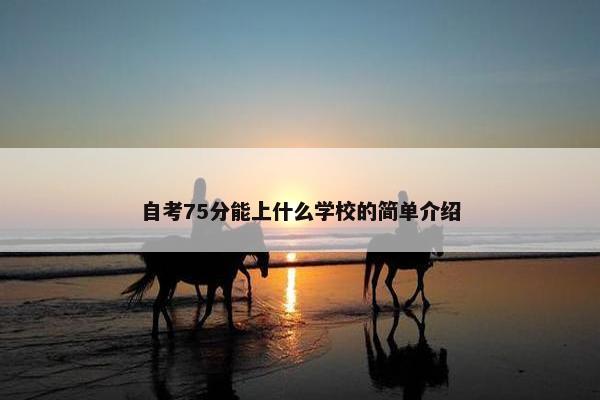 自考75分能上什么学校的简单介绍