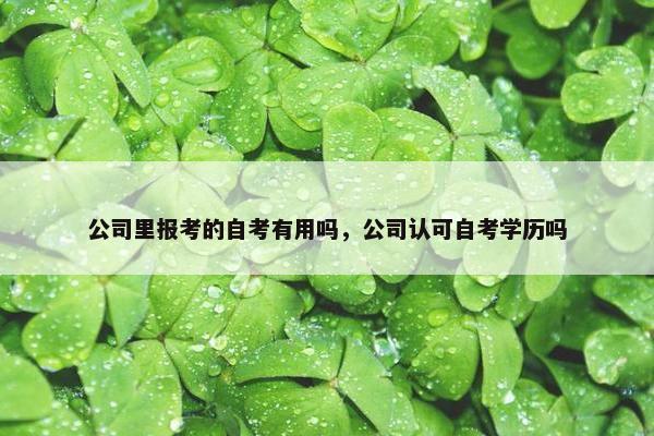 公司里报考的自考有用吗，公司认可自考学历吗