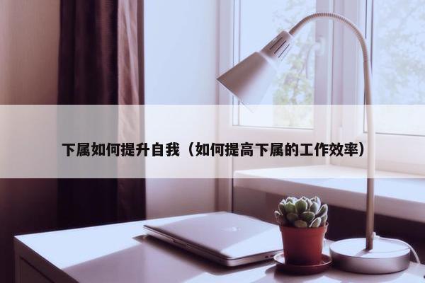 下属如何提升自我（如何提高下属的工作效率）