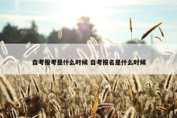 自考报考是什么时候 自考报名是什么时候