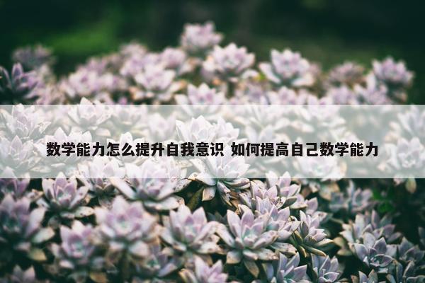 数学能力怎么提升自我意识 如何提高自己数学能力