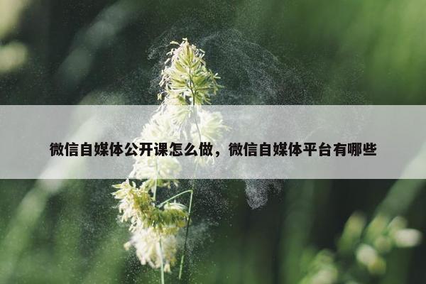 微信自媒体公开课怎么做，微信自媒体平台有哪些