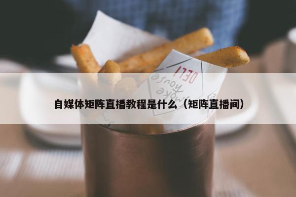 自媒体矩阵直播教程是什么（矩阵直播间）