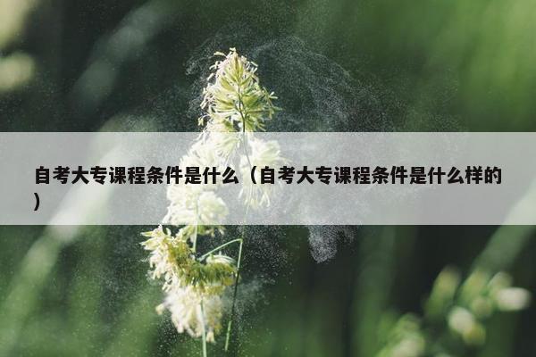 自考大专课程条件是什么（自考大专课程条件是什么样的）