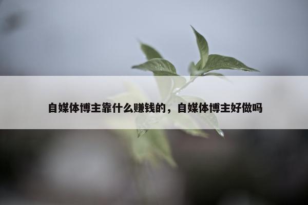 自媒体博主靠什么赚钱的，自媒体博主好做吗