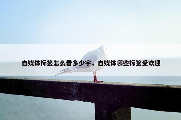 自媒体标签怎么看多少字，自媒体哪些标签受欢迎