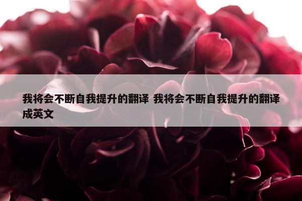 我将会不断自我提升的翻译 我将会不断自我提升的翻译成英文