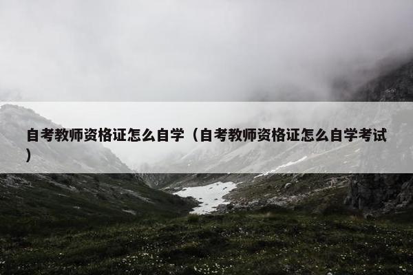 自考教师资格证怎么自学（自考教师资格证怎么自学考试）