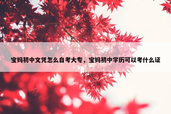 宝妈初中文凭怎么自考大专，宝妈初中学历可以考什么证