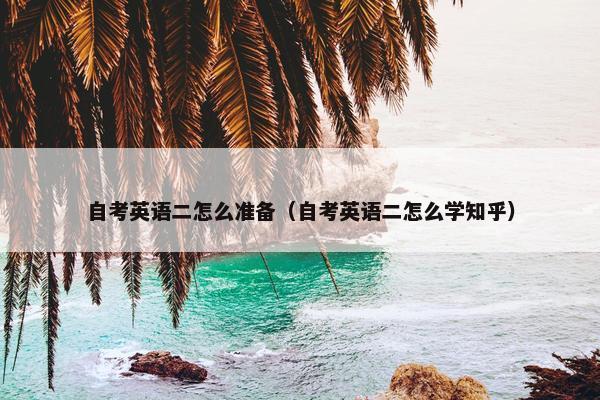 自考英语二怎么准备（自考英语二怎么学知乎）