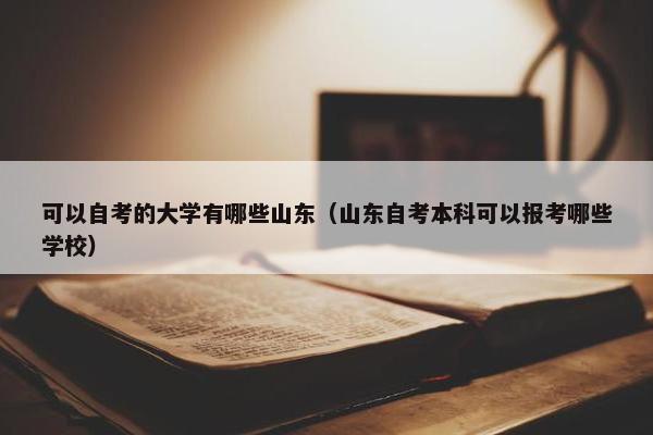 可以自考的大学有哪些山东（山东自考本科可以报考哪些学校）