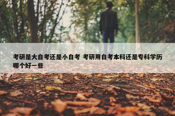 考研是大自考还是小自考 考研用自考本科还是专科学历哪个好一些