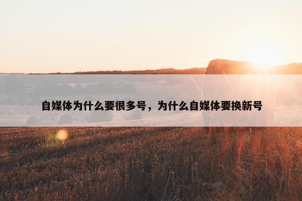 自媒体为什么要很多号，为什么自媒体要换新号