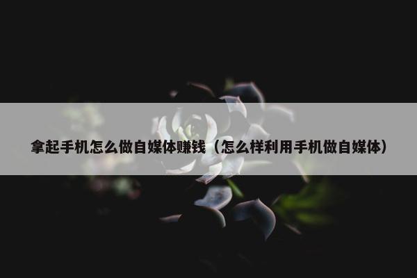 拿起手机怎么做自媒体赚钱（怎么样利用手机做自媒体）