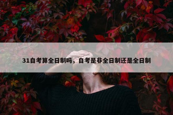 31自考算全日制吗，自考是非全日制还是全日制