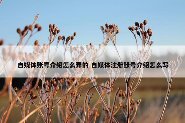 自媒体账号介绍怎么弄的 自媒体注册账号介绍怎么写