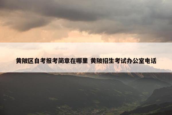 黄陂区自考报考简章在哪里 黄陂招生考试办公室电话