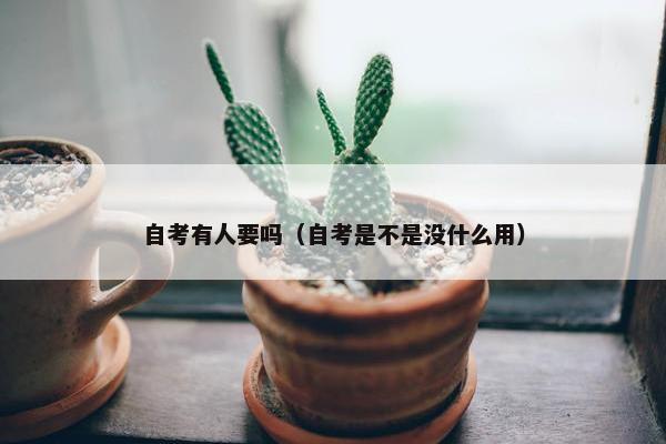 自考有人要吗（自考是不是没什么用）