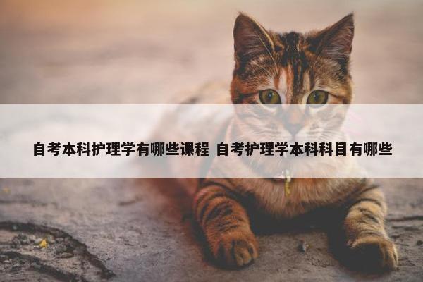 自考本科护理学有哪些课程 自考护理学本科科目有哪些