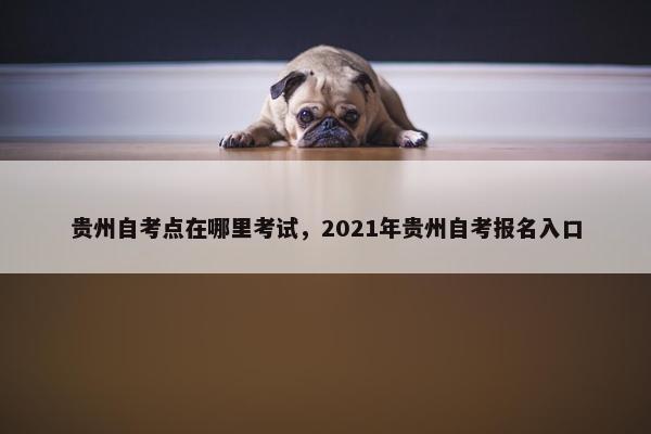 贵州自考点在哪里考试，2021年贵州自考报名入口