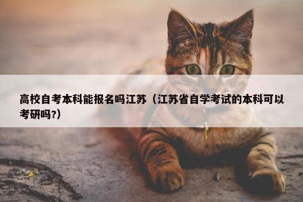 高校自考本科能报名吗江苏（江苏省自学考试的本科可以考研吗?）