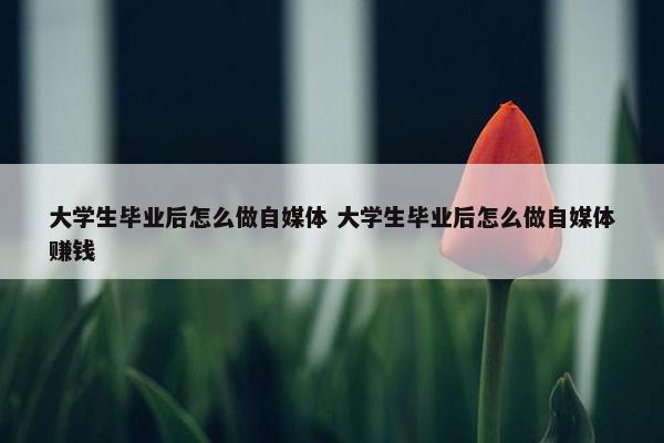 大学生毕业后怎么做自媒体 大学生毕业后怎么做自媒体赚钱