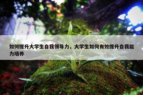 如何提升大学生自我领导力，大学生如何有效提升自我能力培养