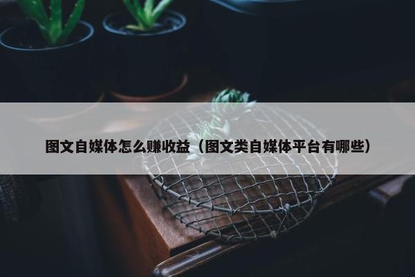 图文自媒体怎么赚收益（图文类自媒体平台有哪些）